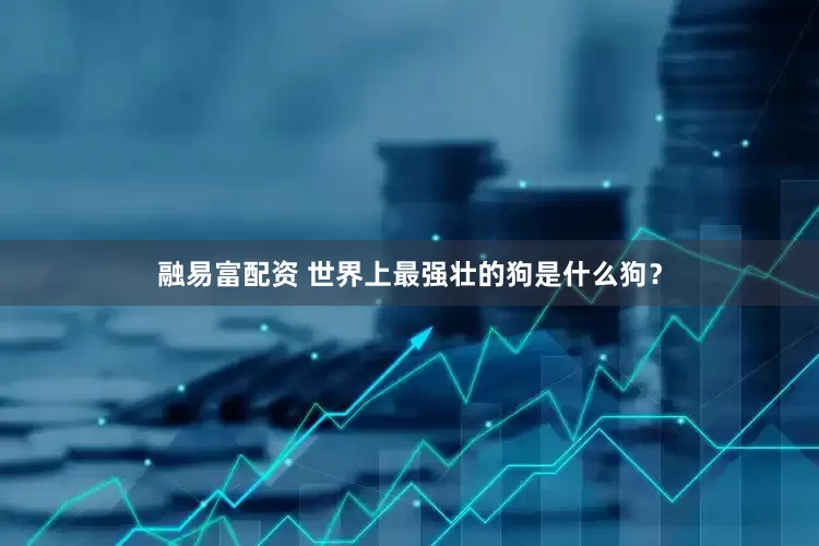 融易富配资 世界上最强壮的狗是什么狗？