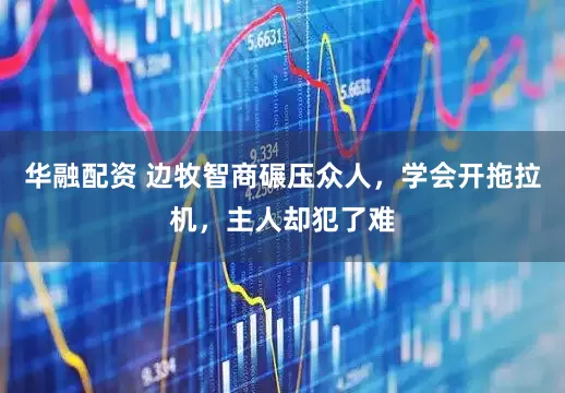 华融配资 边牧智商碾压众人，学会开拖拉机，主人却犯了难