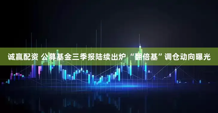 诚赢配资 公募基金三季报陆续出炉 “翻倍基”调仓动向曝光