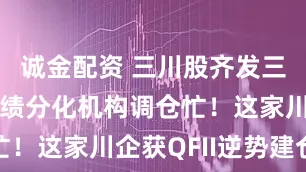 诚金配资 三川股齐发三季报,业绩分化机构调仓忙!这家川企获QFII逆势建仓
