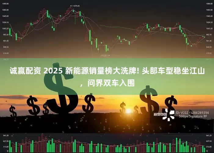 诚赢配资 2025 新能源销量榜大洗牌! 头部车型稳坐江山，问界双车入围